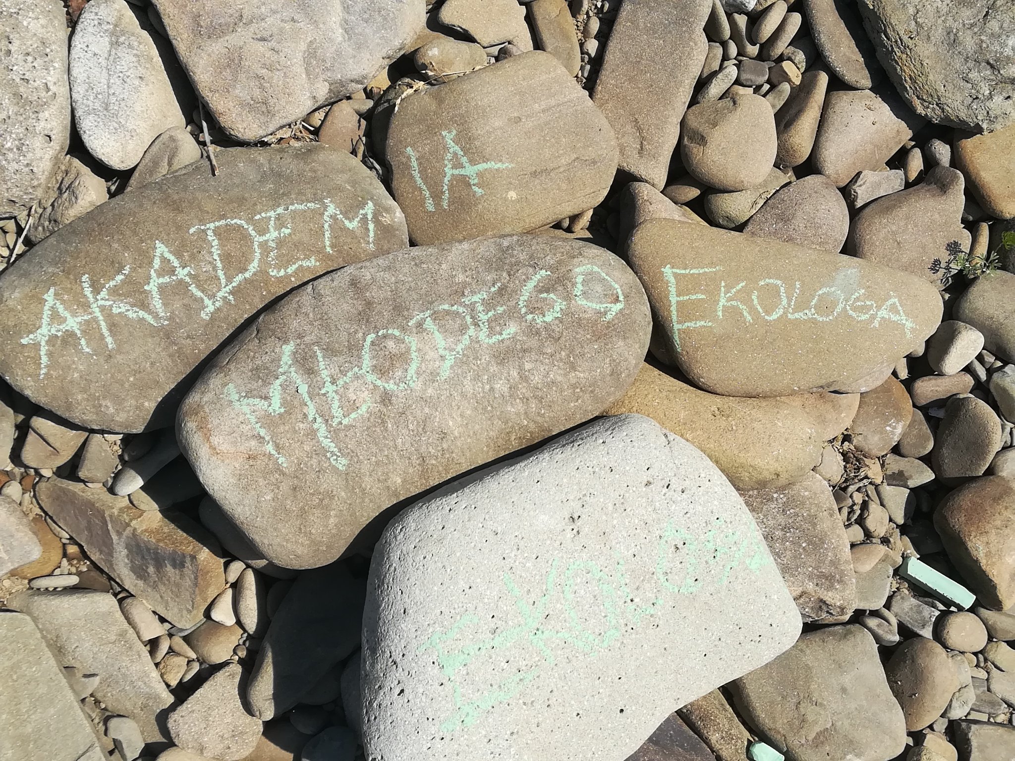 Kamienie z napisem Akademia Młodego Ekologa